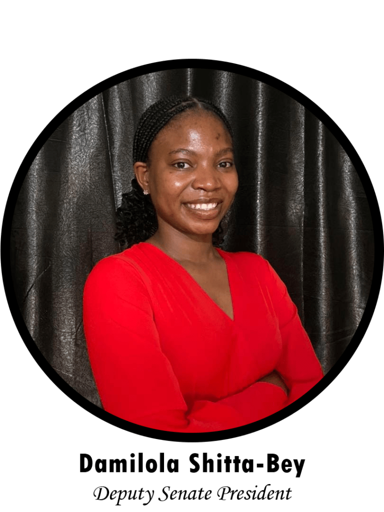 Damilola Shitta-Bey Deputy Senate President